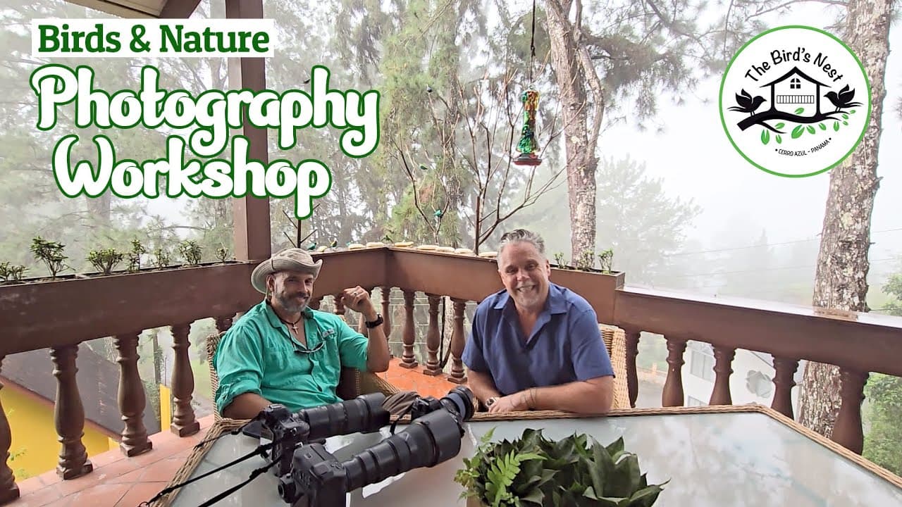 Birds & Nature Photography Workshop – Cerro Azul – Panama