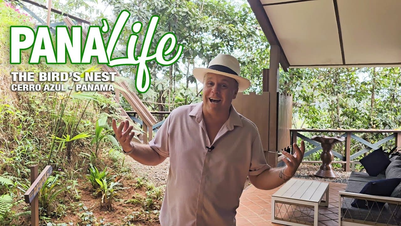 🐦🌿 Pana’Life – The Bird’s Nest, Cerro Azul! 🌿🐦