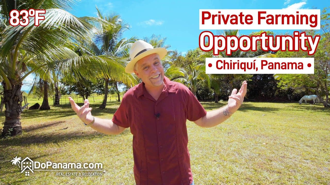 🌱 Private Farming Opportunity – Chiriquí, Panama! 🏡🌳