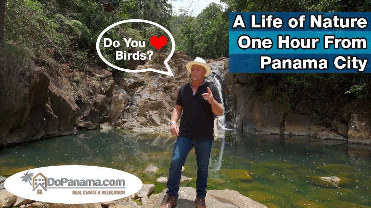 A Life of Nature One Hour From Panama City 🦜 Do Panama Real Estate & Relocation