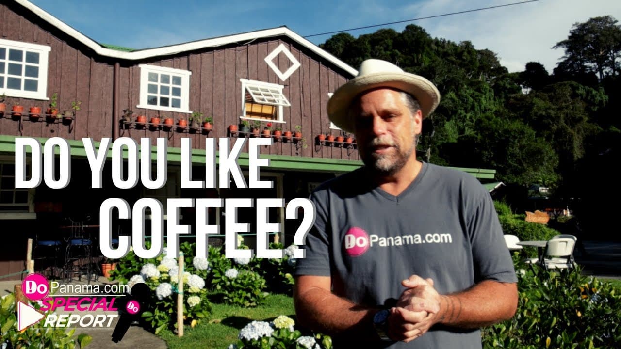 Special Report: Do you like coffee? – Finca Lerida – Boquete – DoPanama.com