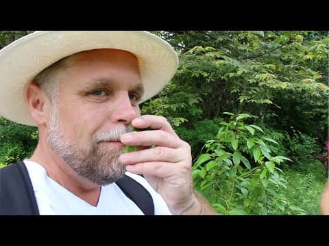 Do you smell that SMELL? – DoPanama.com – Episode 7 – Travel Vlog