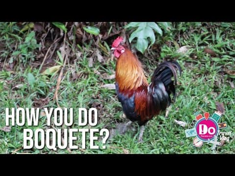 How do you Boquete? DoPanama Travel Vlog – Episode 10